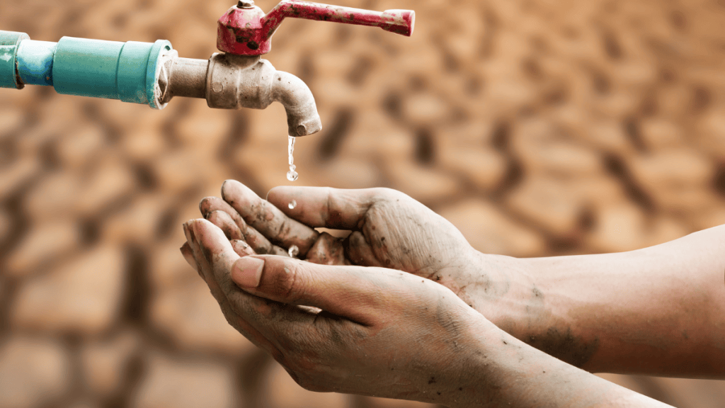 La importancia de enfrentar los retos de la escasez del agua&nbsp;juntos