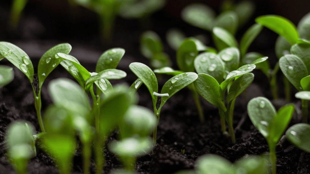 Plant-Based, la tendencia en crecimiento que busca una alimentación&nbsp;sostenible