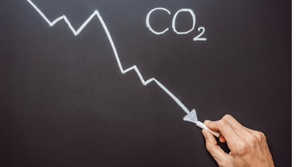 Conservación Internacional: Prioridad crucial establecer un plan para reducir a la mitad las emisiones de&nbsp;carbono