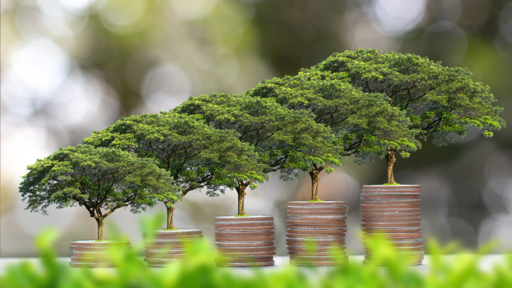 Otorga Scotiabank a FibraShop financiamiento sustentable por 220&nbsp;MDP
