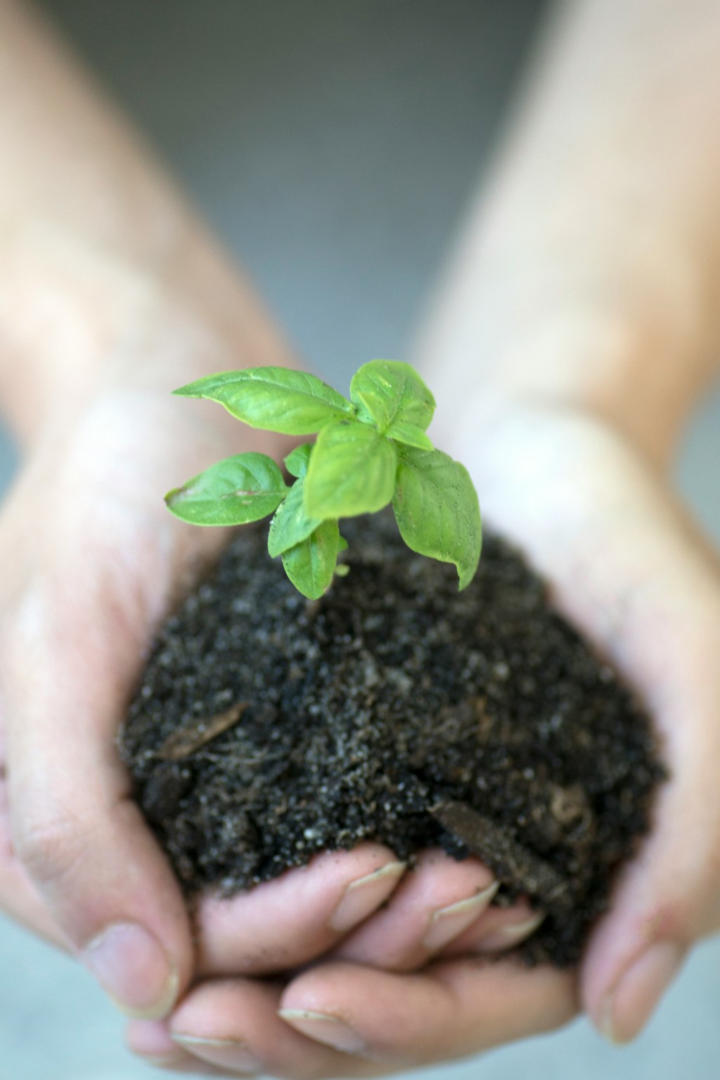 ADM es reconocida por sus acciones en favor de la&nbsp;sustentabilidad