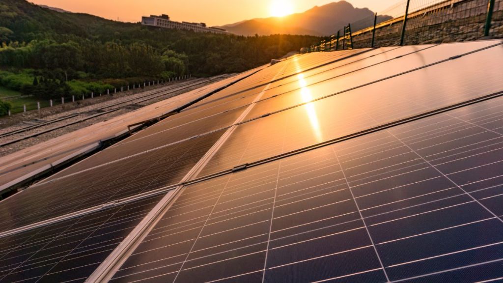Energía Real evitó 25,963 toneladas de CO2e y generó 58,476 MWh de energía solar en&nbsp;2024