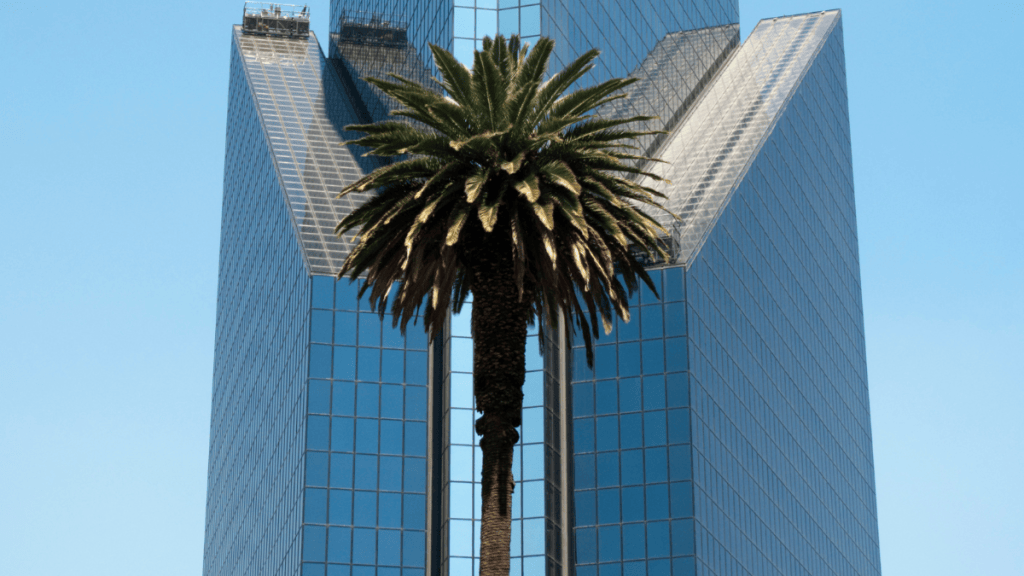 Bolsa Mexicana de Valores consolida su apoyo a las&nbsp;empresas