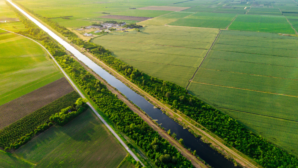 Calorex y el Día del Medio Ambiente: Liderando la Conservación del Agua en México a Través de la&nbsp;Innovación