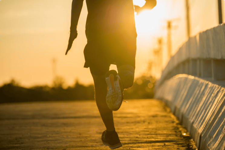 Se entregan recaudaciones del Medio Maratón de Grupo&nbsp;Bachoco