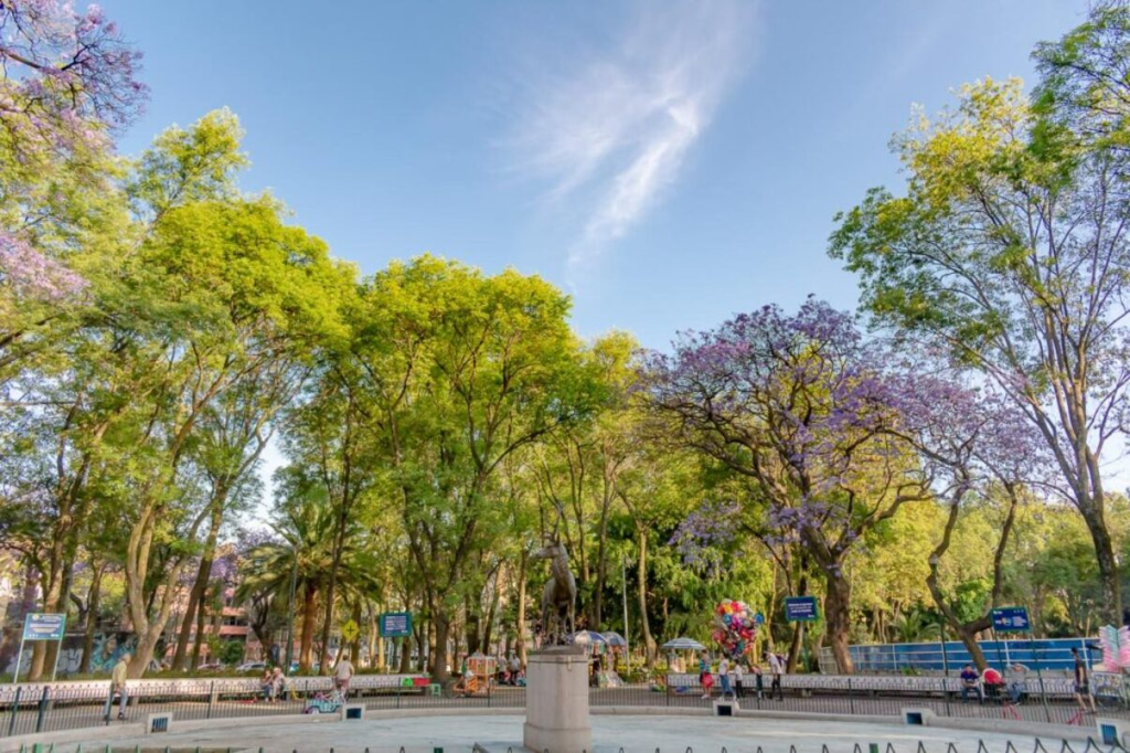 Parque de los Venados: abandono, simulación y una autoridad que no&nbsp;aparece